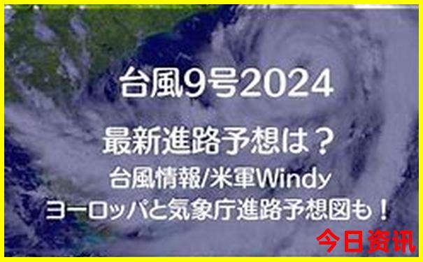 五九合二数最准确生肖