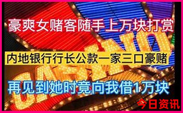 五九合二数最准确生肖